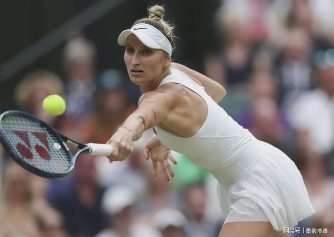 疑是一场挑 疑是一场挑