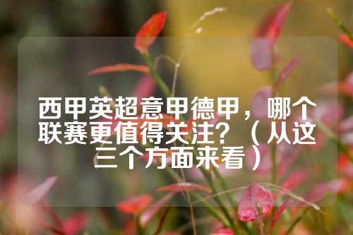 的爆料指向 的爆料指向